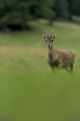 20240922_0259-ARW-DxO_DeepPRIME XD2